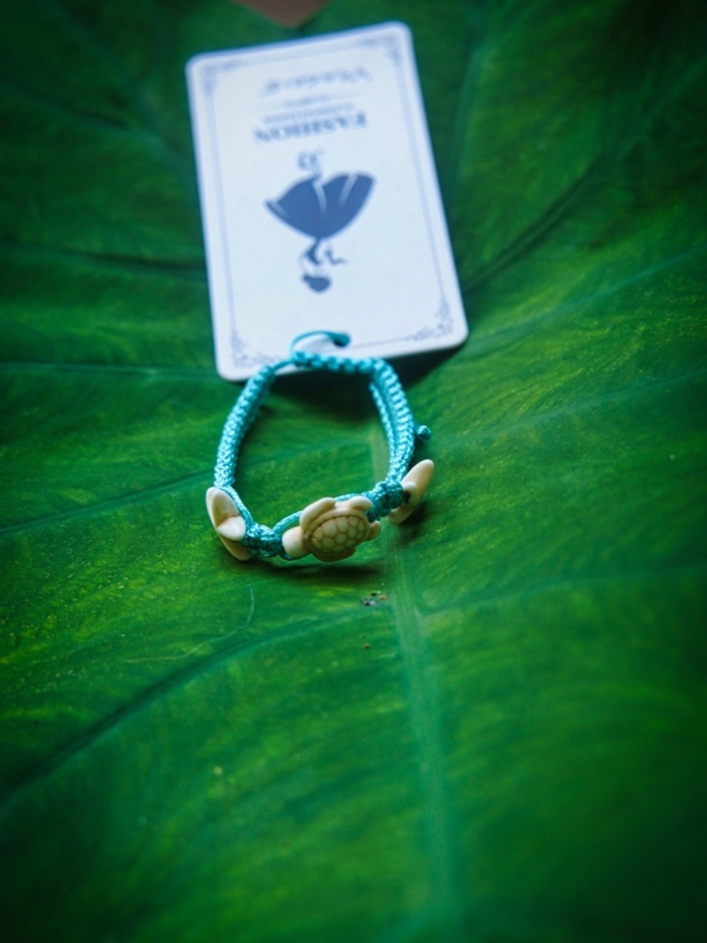 Lot of 5 Turquoise Turtle Shell Braided Bracelets Anklets Fashion Brand
